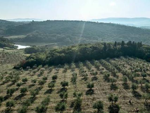 Terreno in vendita a Montalto di Castro VT