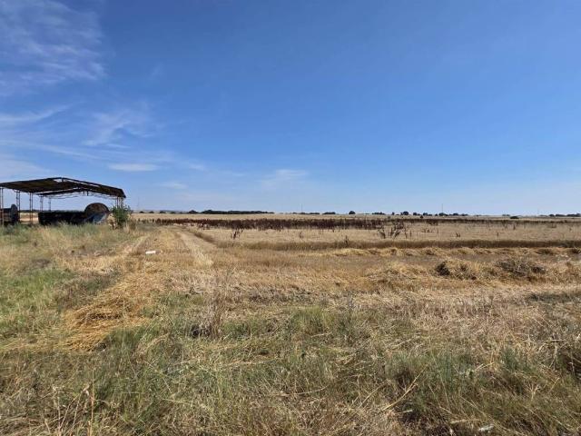 Terreno in vendita a Montalto di Castro VT