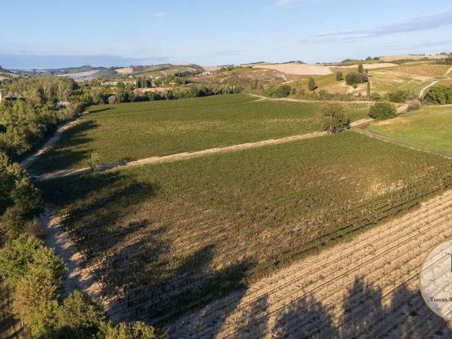 Terreno in vendita a Montalcino SI
