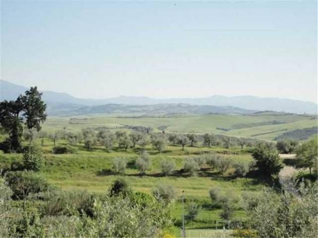 Terreno in vendita a Montalcino SI