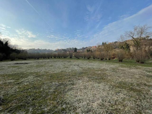 Terreno in vendita a Montaldo Roero CN