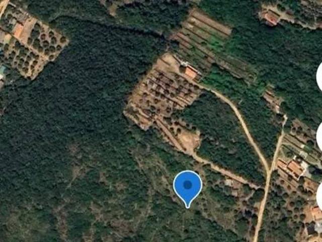 Terreno in vendita a Monte Argentario GR