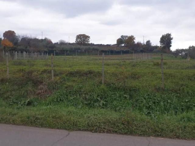 Terreno in vendita a Monte Compatri RM