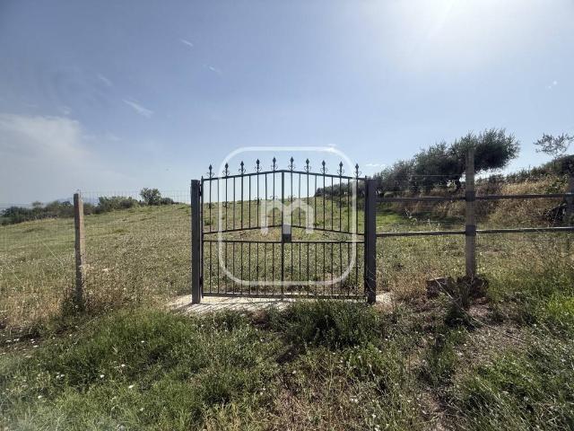 Terreno in vendita a Monte Compatri RM