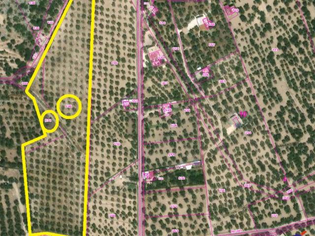 Terreno in vendita a Monte Sant'Angelo FG