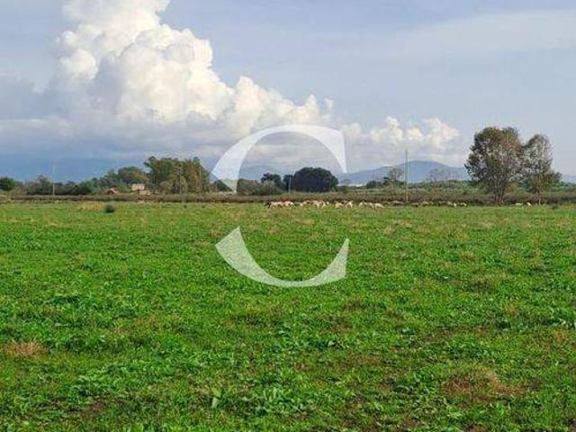 Terreno in vendita a Monte San Biagio LT