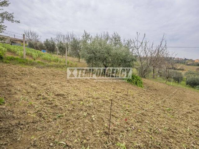 Terreno in vendita a Monte San Giusto MC