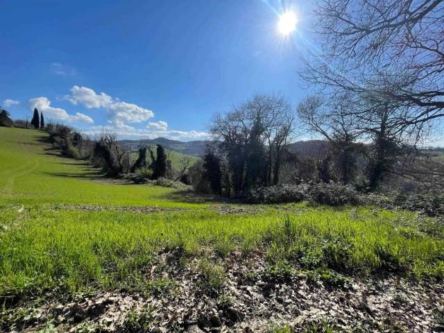 Terreno in vendita a Monte San Pietro BO