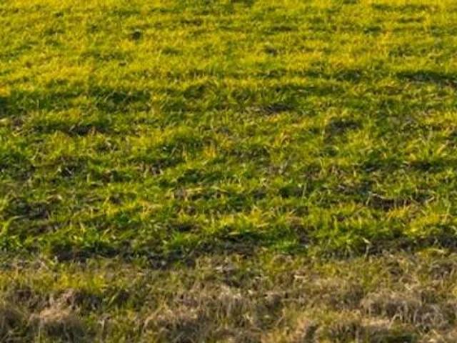 Terreno in vendita a Montemurlo PO