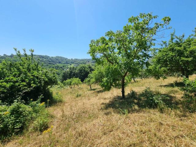 Terreno in vendita a Montemiletto AV