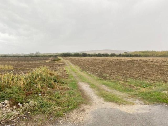 Terreno in vendita a Montenero di Bisaccia CB