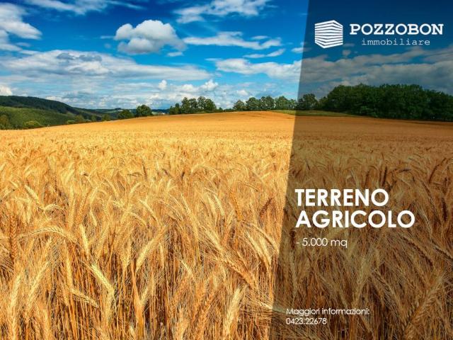 Terreno in vendita a Montebelluna TV