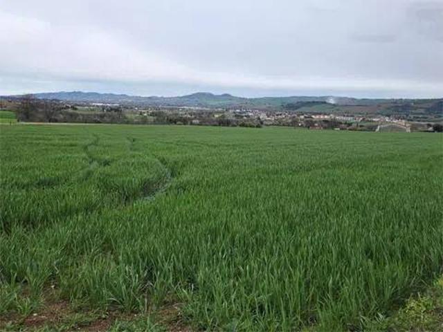 Terreno in vendita a Montecassiano MC