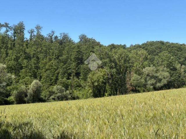 Terreno in vendita a Montecastrilli TR