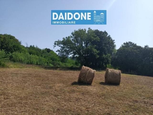 Terreno in vendita a Montecatini Val di Cecina PI