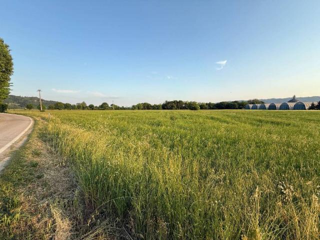 Terreno in vendita a Montecchio Maggiore VI
