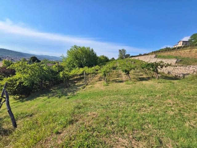 Terreno in vendita a Montecchio Maggiore VI
