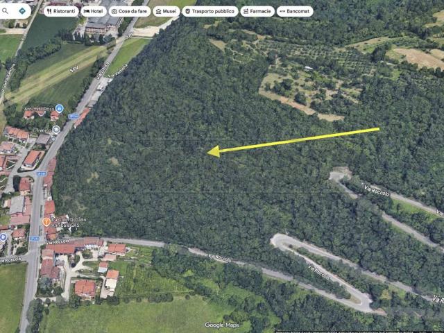 Terreno in vendita a Montecchio Maggiore VI