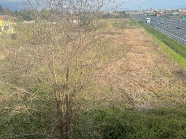 Terreno in vendita a Montecorvino Pugliano SA