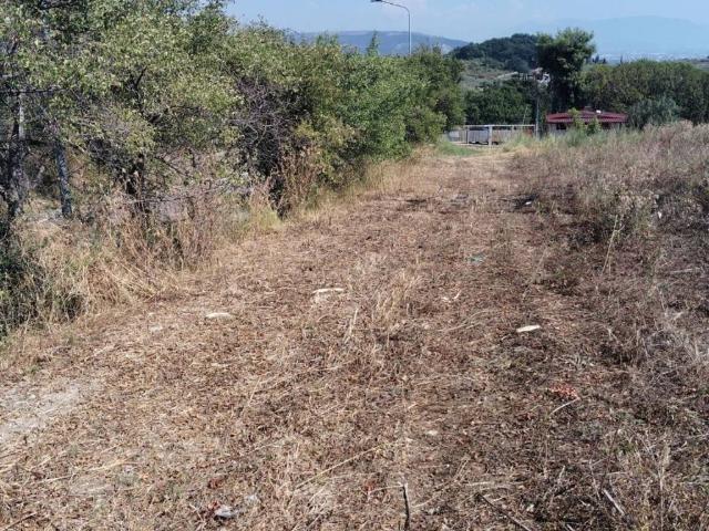 Terreno in vendita a Montecorvino Pugliano SA