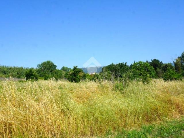 Terreno in vendita a Montecorvino Rovella SA