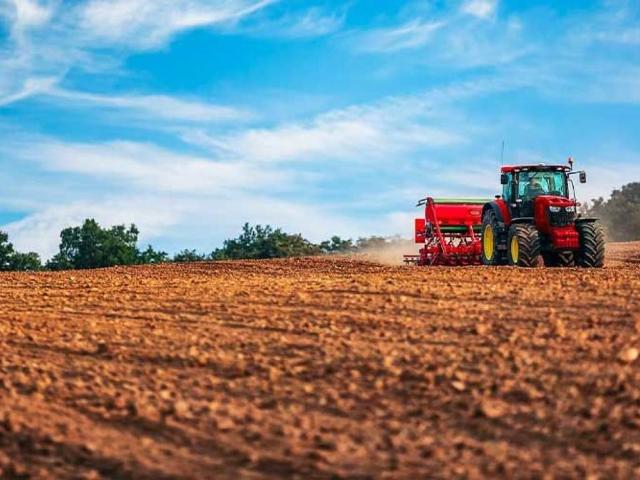 Terreno in vendita a Montefalco PG