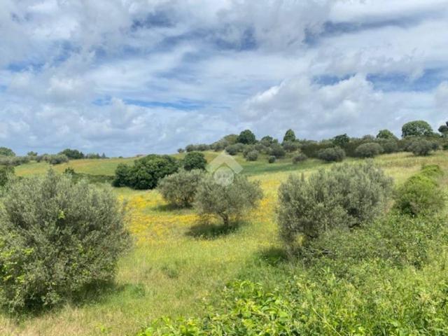 Terreno in vendita a Montefiascone VT