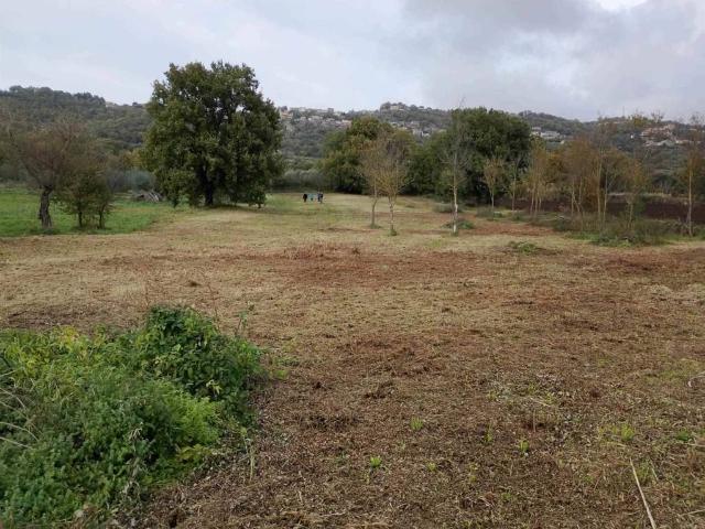 Terreno in vendita a Montefiascone VT