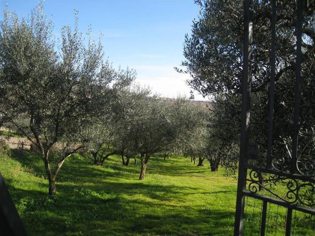 Terreno in vendita a Montefiascone VT