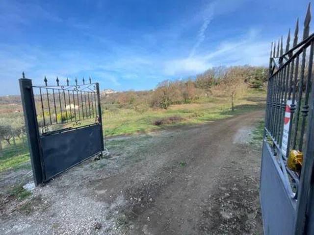Terreno in vendita a Montefiascone VT