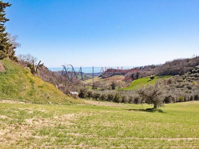 Terreno in vendita a Montefiore dell'Aso AP