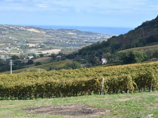 Terreno in vendita a Montefiore dell'Aso AP