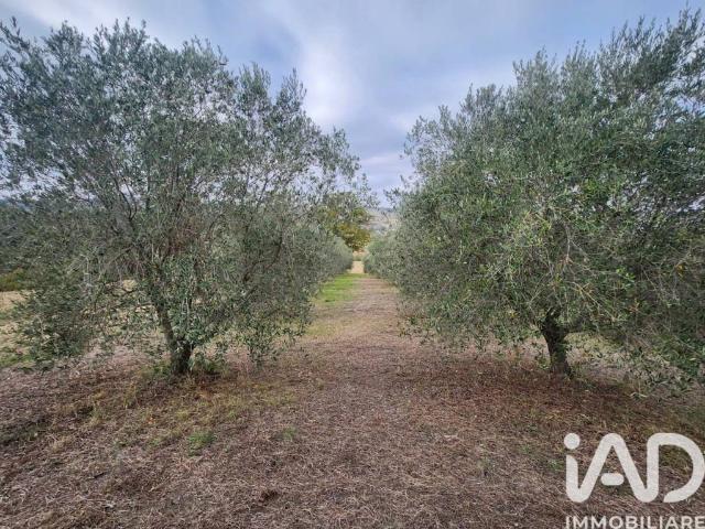 Terreno in vendita a Montegiorgio FM