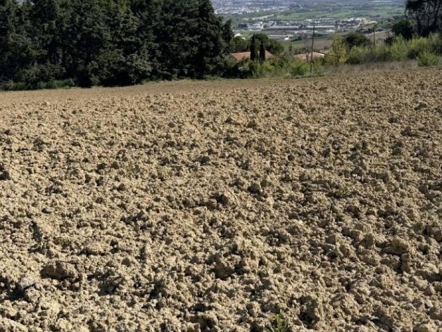 Terreno in vendita a Montegranaro FM