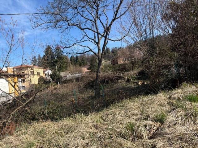 Terreno in vendita a Montegrino Valtravaglia VA