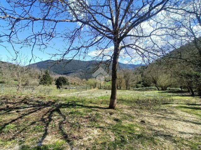 Terreno in vendita a Montelanico RM
