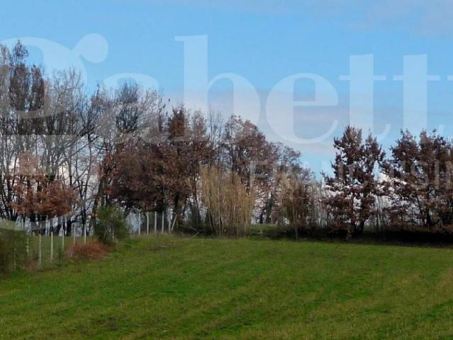 Terreno in vendita a Montelanico RM