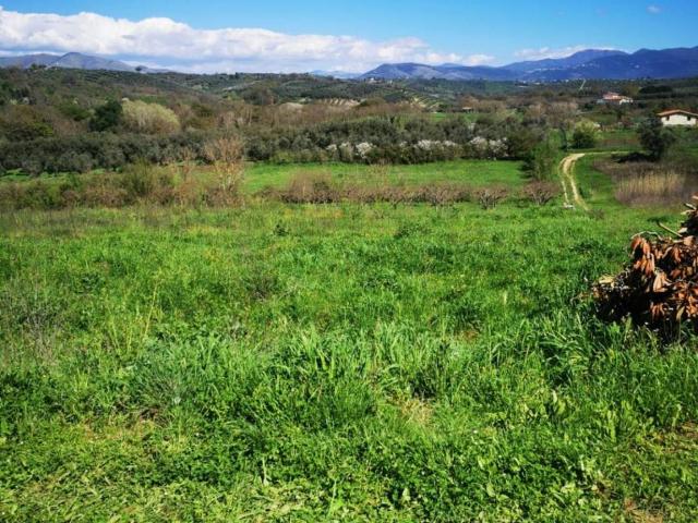 Terreno in vendita a Montelibretti RM