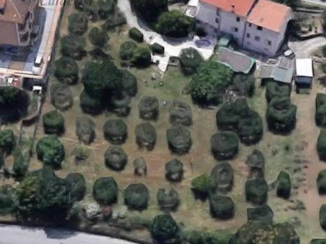 Terreno in vendita a Monteprandone AP