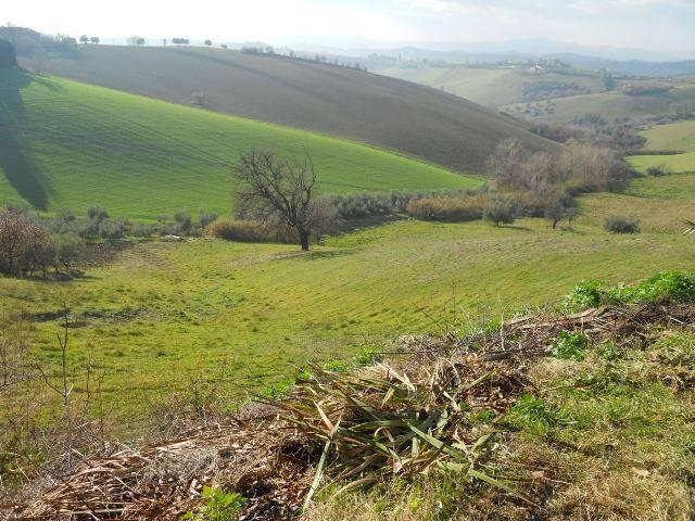Terreno in vendita a Monteprandone AP