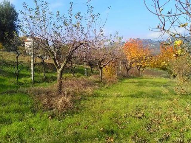 Terreno in vendita a Monteprandone AP