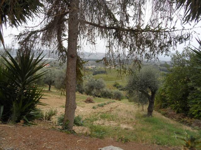 Terreno in vendita a Monteprandone AP