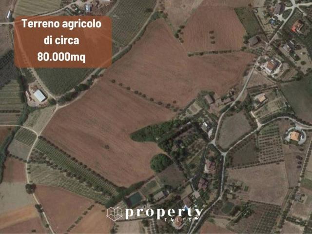 Terreno in vendita a Monteprandone AP