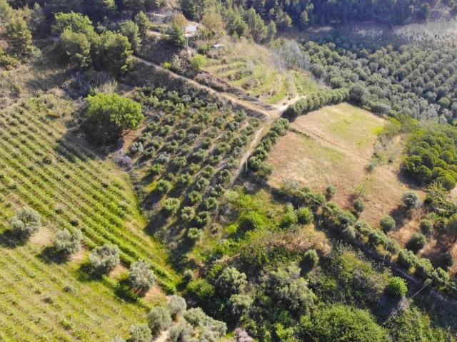Terreno in vendita a Monteprandone AP