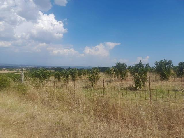 Terreno in vendita a Monterosi VT