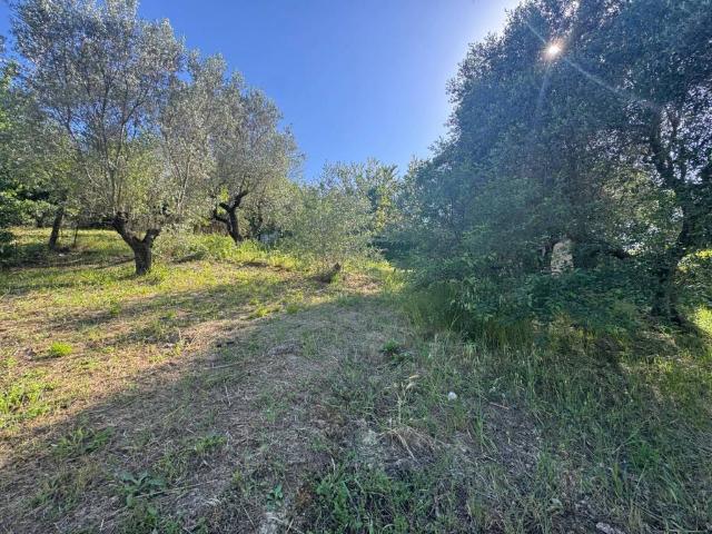 Terreno in vendita a Monterotondo RM