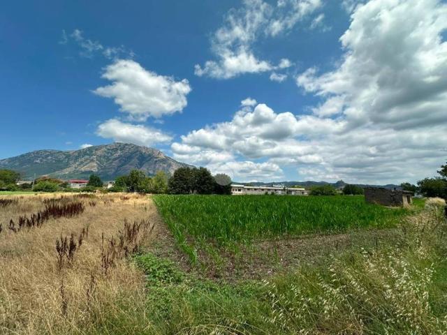 Terreno in vendita a Montesarchio BN