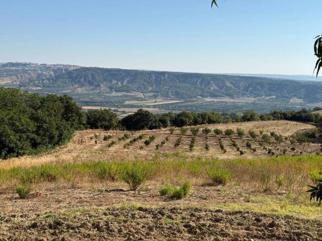 Terreno in vendita a Montescaglioso MT