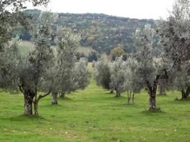 Terreno in vendita a Montescudo Montecolombo RN