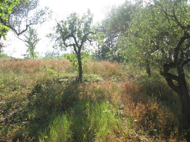 Terreno in vendita a Montesilvano PE